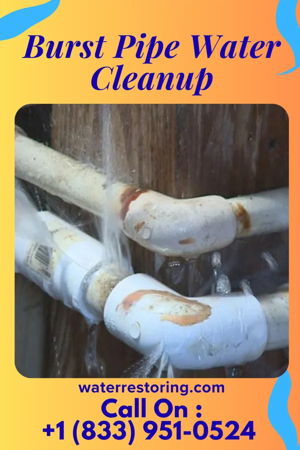 Burst Pipe Water Cleanup in Barton, MD