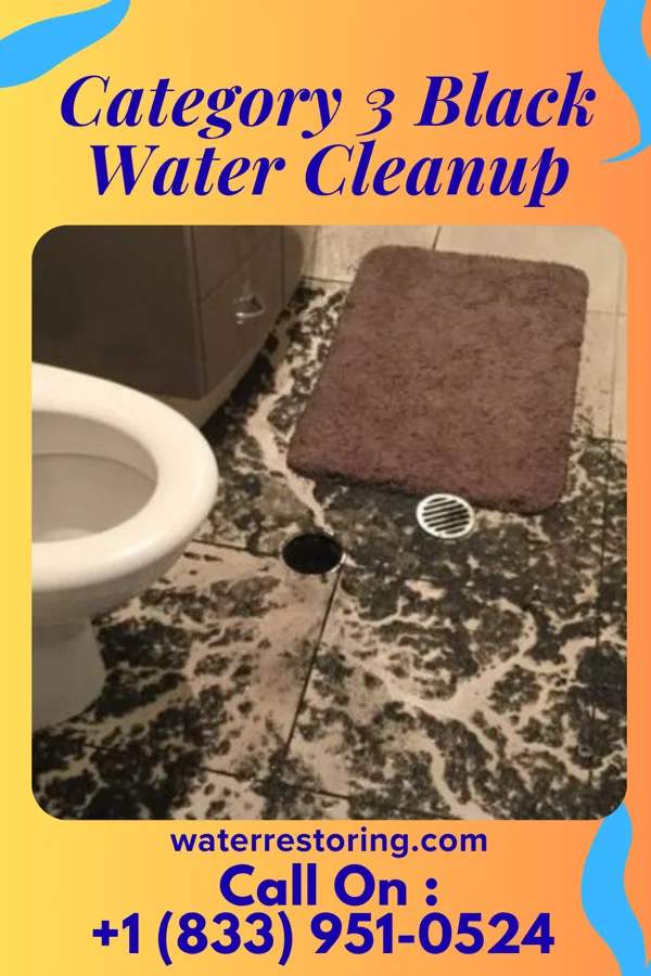 Category 3 Black Water Cleanup in Barton, MD