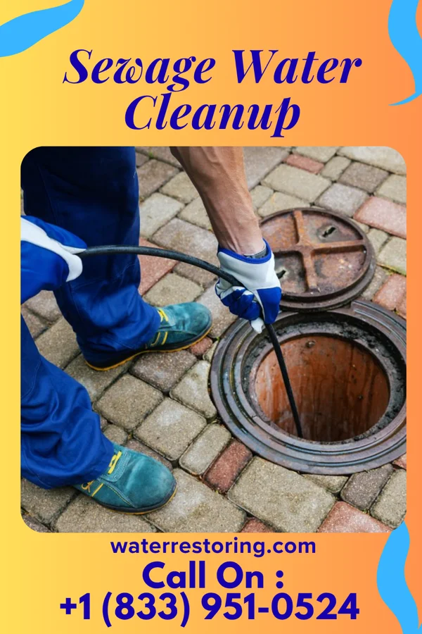 Sewage Water Cleanup in Barton, MD
